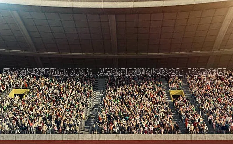 欧陆登录网址荣信文化国家前足球运动员高某某：从草根到巅峰的足球之路【必看传记】