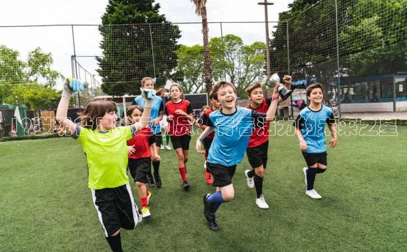 欧陆娱乐平台app下载安装百度 H519岁现役足球运动员：青春活力的未来之星