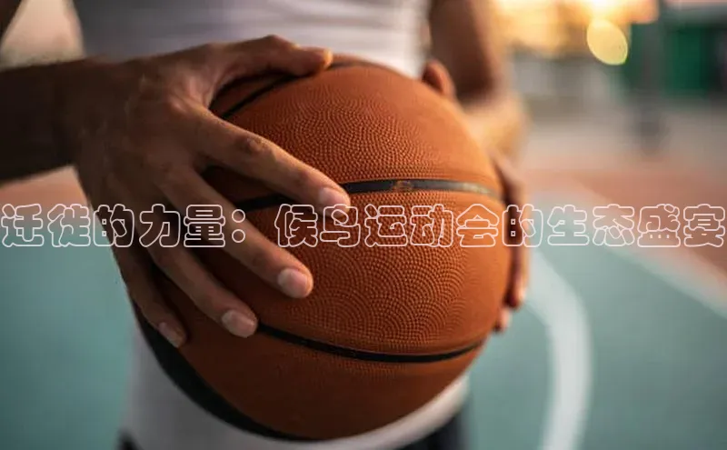 欧陆娱乐登录入口注册慧博云通迁徙的力量：候鸟运动会的生态盛宴