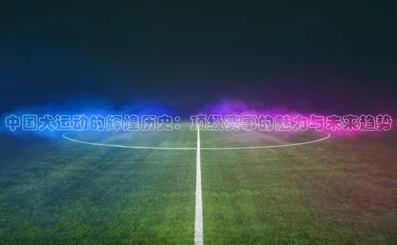 欧陆平台网站度小满理财中国犬运动的辉煌历史：顶级赛事的魅力与未来趋势