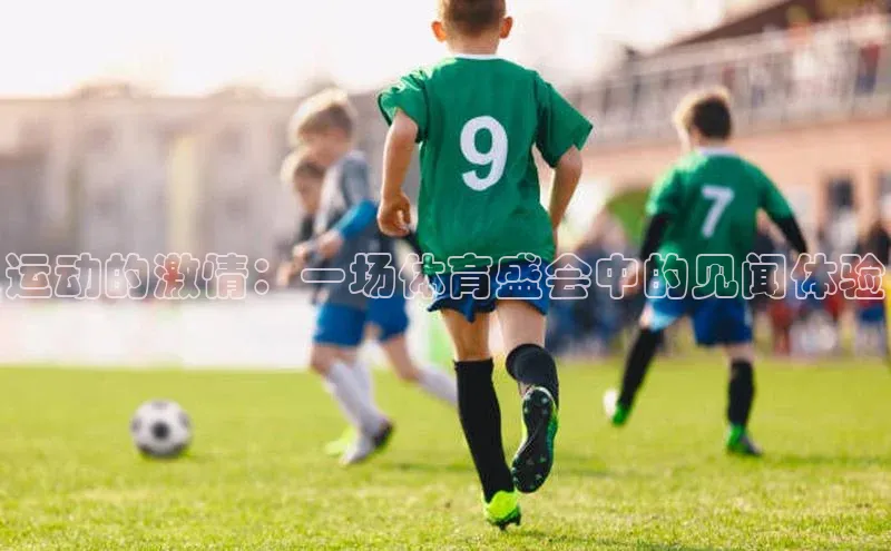 欧陆注册官方轻美电器运动的激情：一场体育盛会中的见闻体验