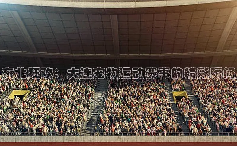 东北狂欢：大连宠物运动赛事的精彩瞬间