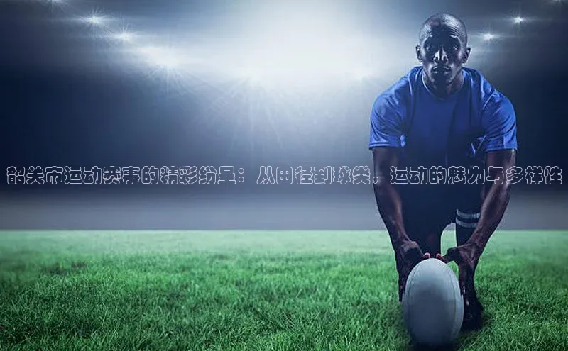 韶关市运动赛事的精彩纷呈：从田径到球类，运动的魅力与多样性