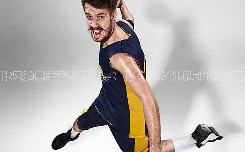 比亚迪赛事运动部王磊：推动技术创新与团队发展