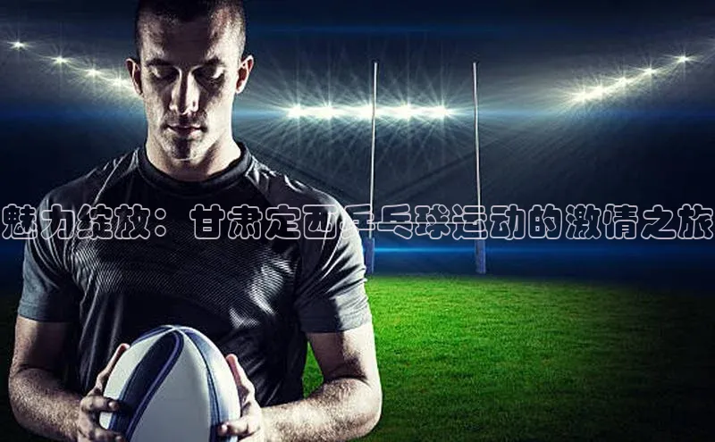 魅力绽放：甘肃定西乒乓球运动的激情之旅