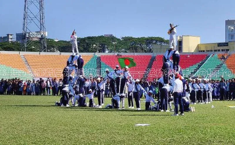 ：运动赛事背后的精彩故事与规则——运动赛事手册介绍语句