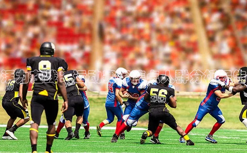 活力在线：运动赛事焦点人群分析报告