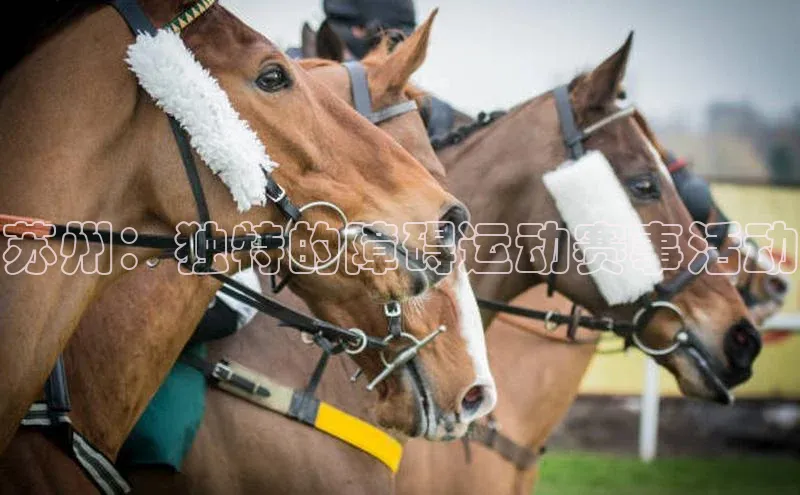 苏州：独特的障碍运动赛事活动