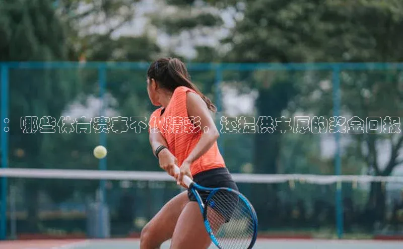 ：哪些体育赛事不仅精彩，还提供丰厚的奖金回报