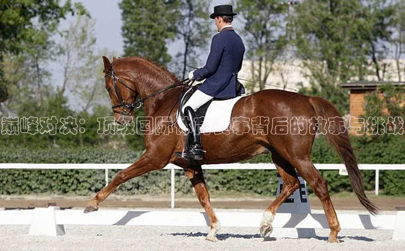 巅峰对决：顶级国际体育赛事背后的故事与挑战