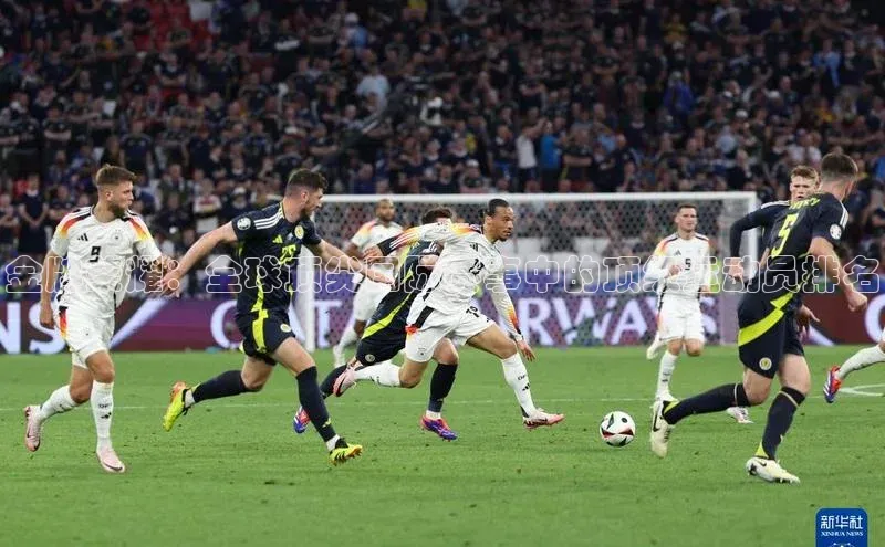 金牌荣耀：全球顶尖国际赛事中的顶级运动员排名